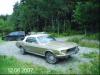 Ford Mustang 289:a